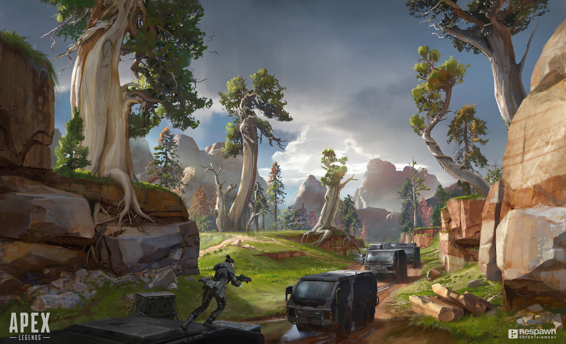 色的决策能 色的决策能